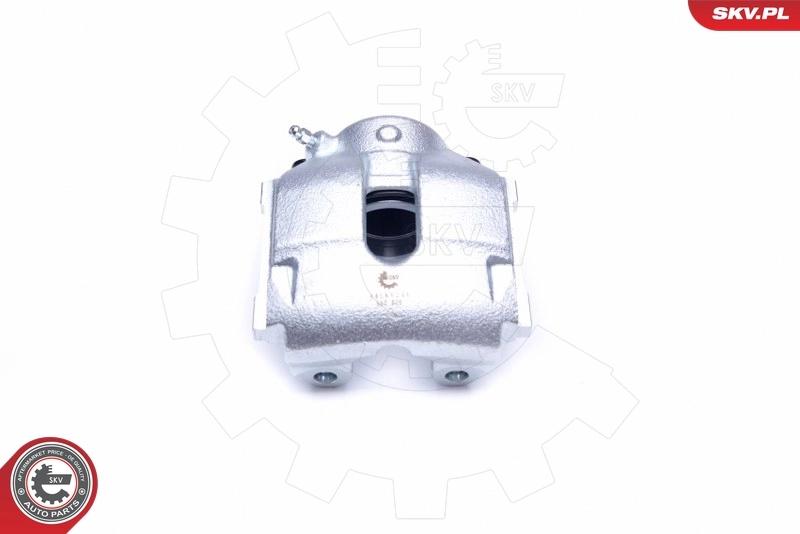 Brake Caliper 44SKV241