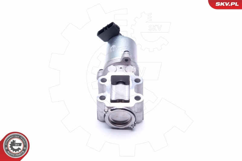 EGR Valve 14SKV200