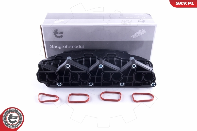 Intake Manifold Module 49SKV057