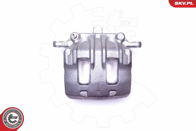 Brake Caliper 45SKV671