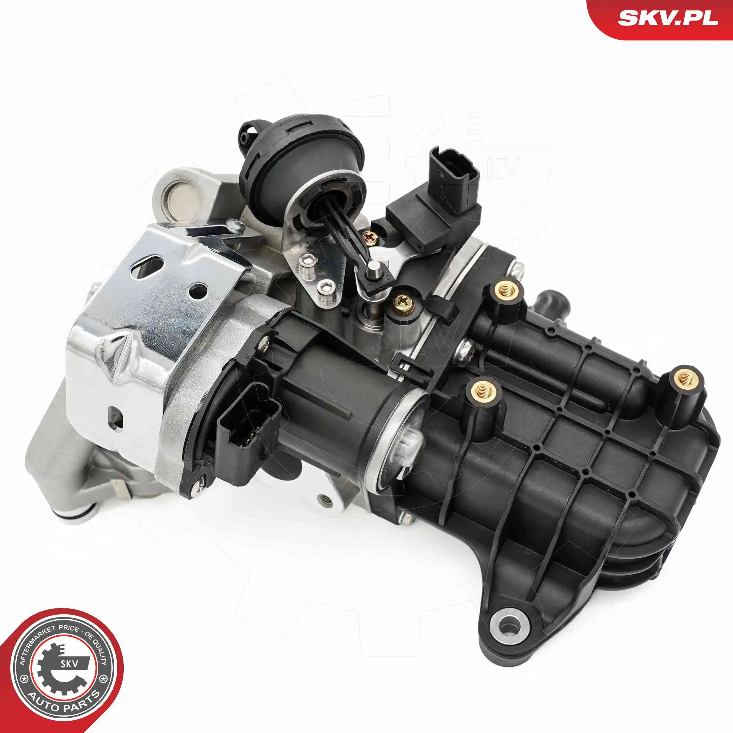 ESEN SKV 14SKV289 EGR Valve