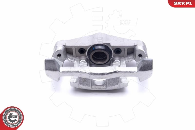 Brake Caliper 55SKV831