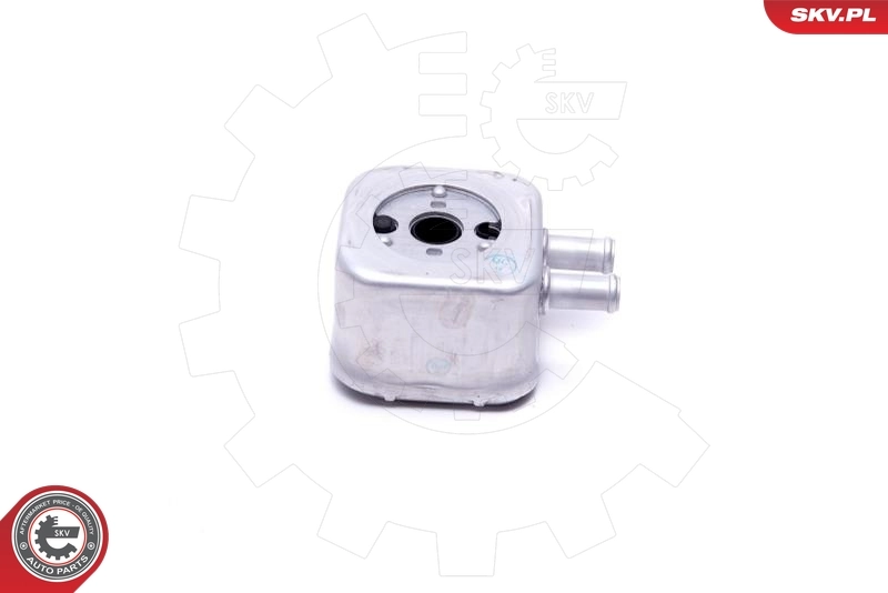 Oil Cooler, engine oil 31SKV205