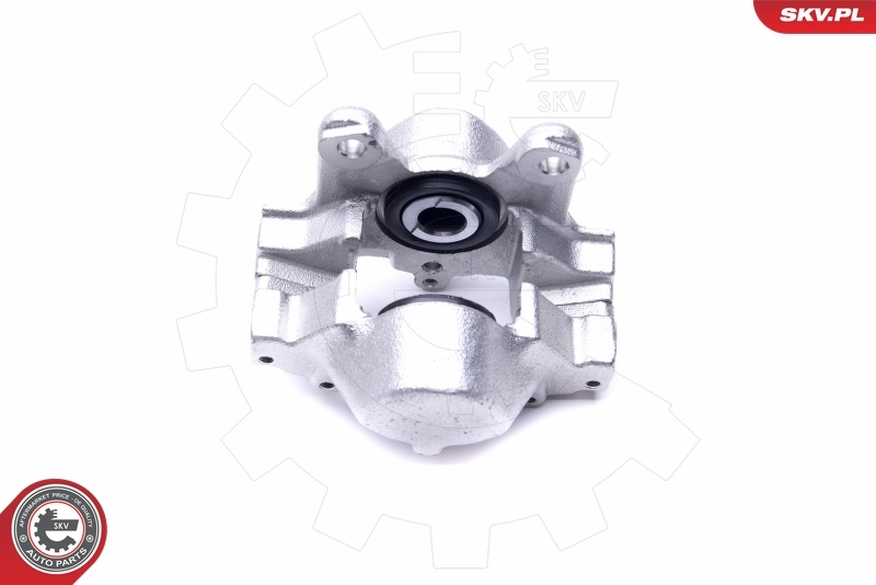Brake Caliper 46SKV473