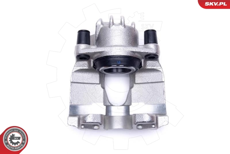 Brake Caliper 56SKV281