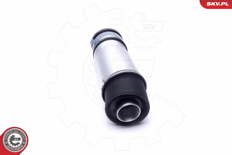 Air Suspension Strut 58SKV063