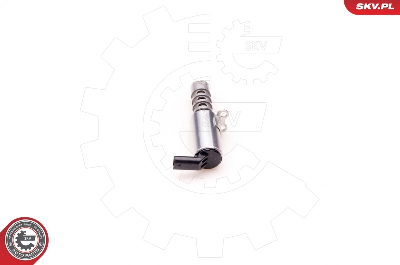 Control Valve, camshaft adjustment 39SKV011