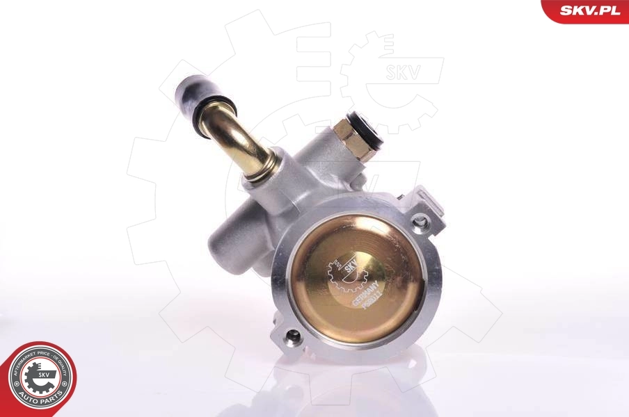 Hydraulic Pump, steering 10SKV133