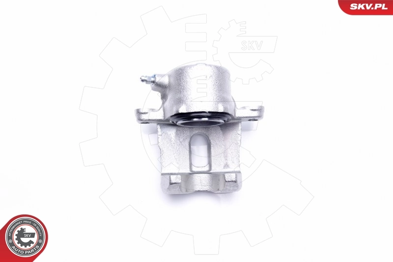 Brake Caliper 23SKV872