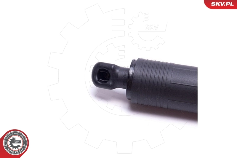 ESEN SKV 52SKV903 Electric Motor, tailgate