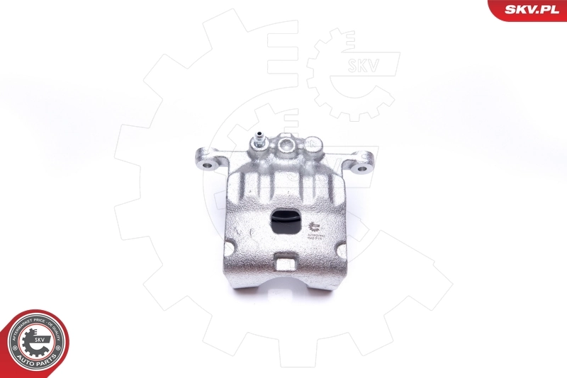 Brake Caliper 42SKV492