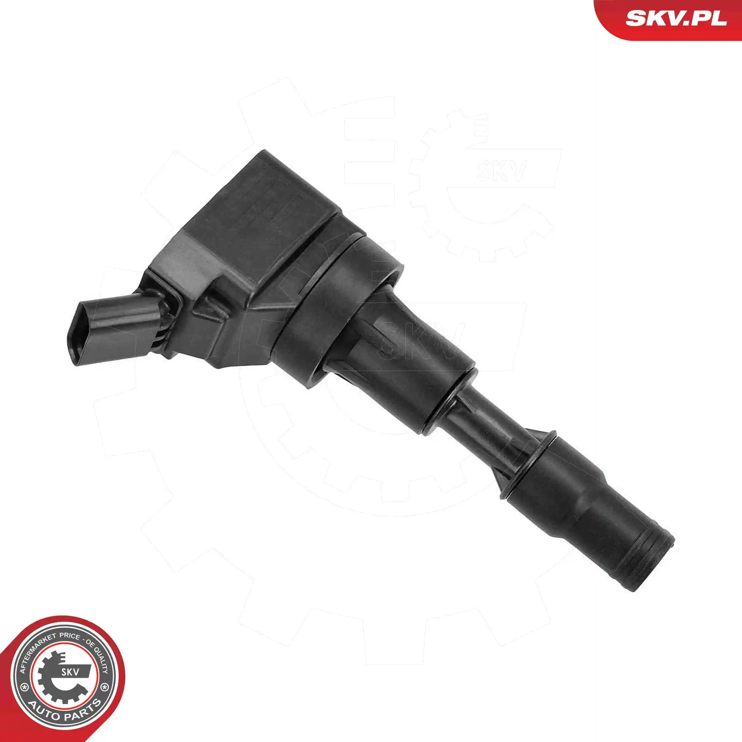 Ignition Coil 03SKV354