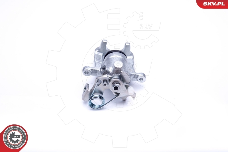 Brake Caliper 45SKV094