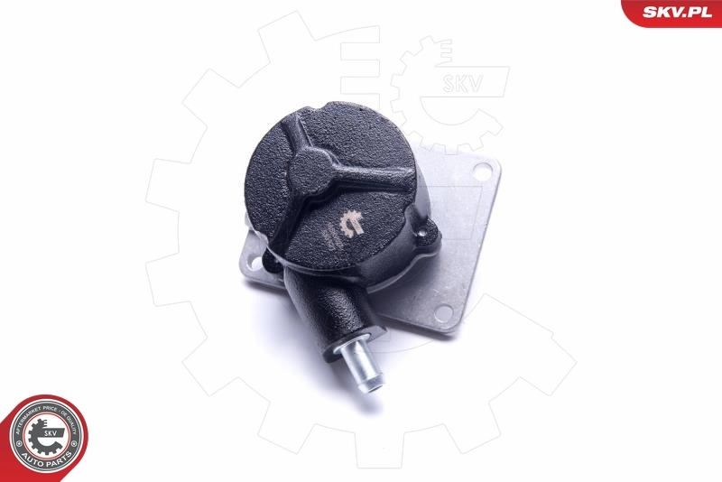 Vacuum Pump, braking system 18SKV027