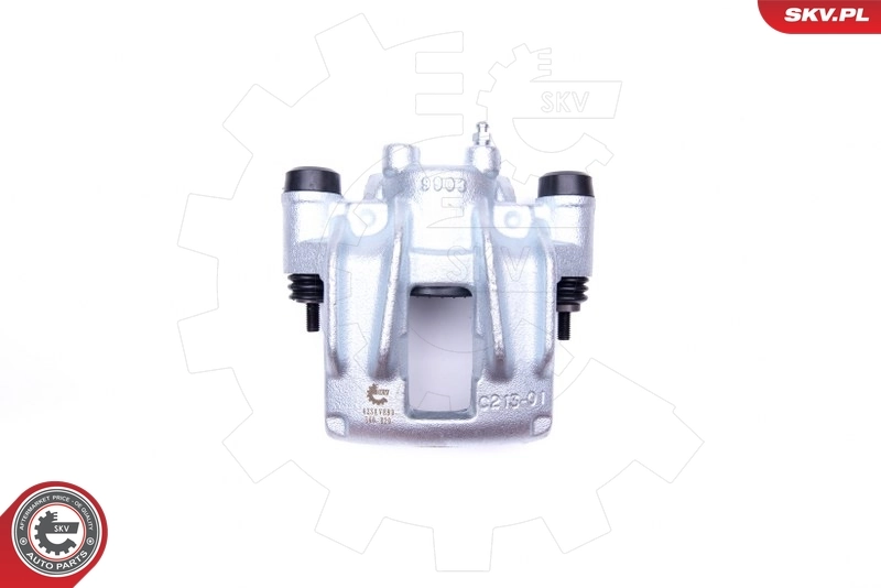 Brake Caliper 42SKV893