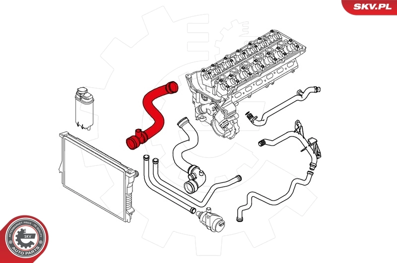 Radiator Hose 24SKV239