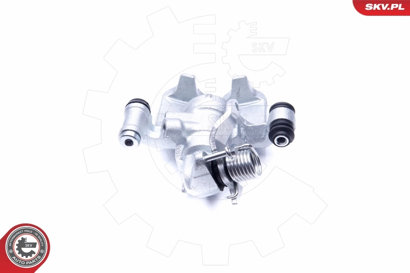 Brake Caliper 42SKV814