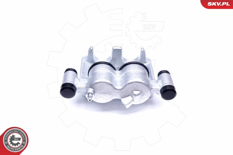 Brake Caliper 42SKV872