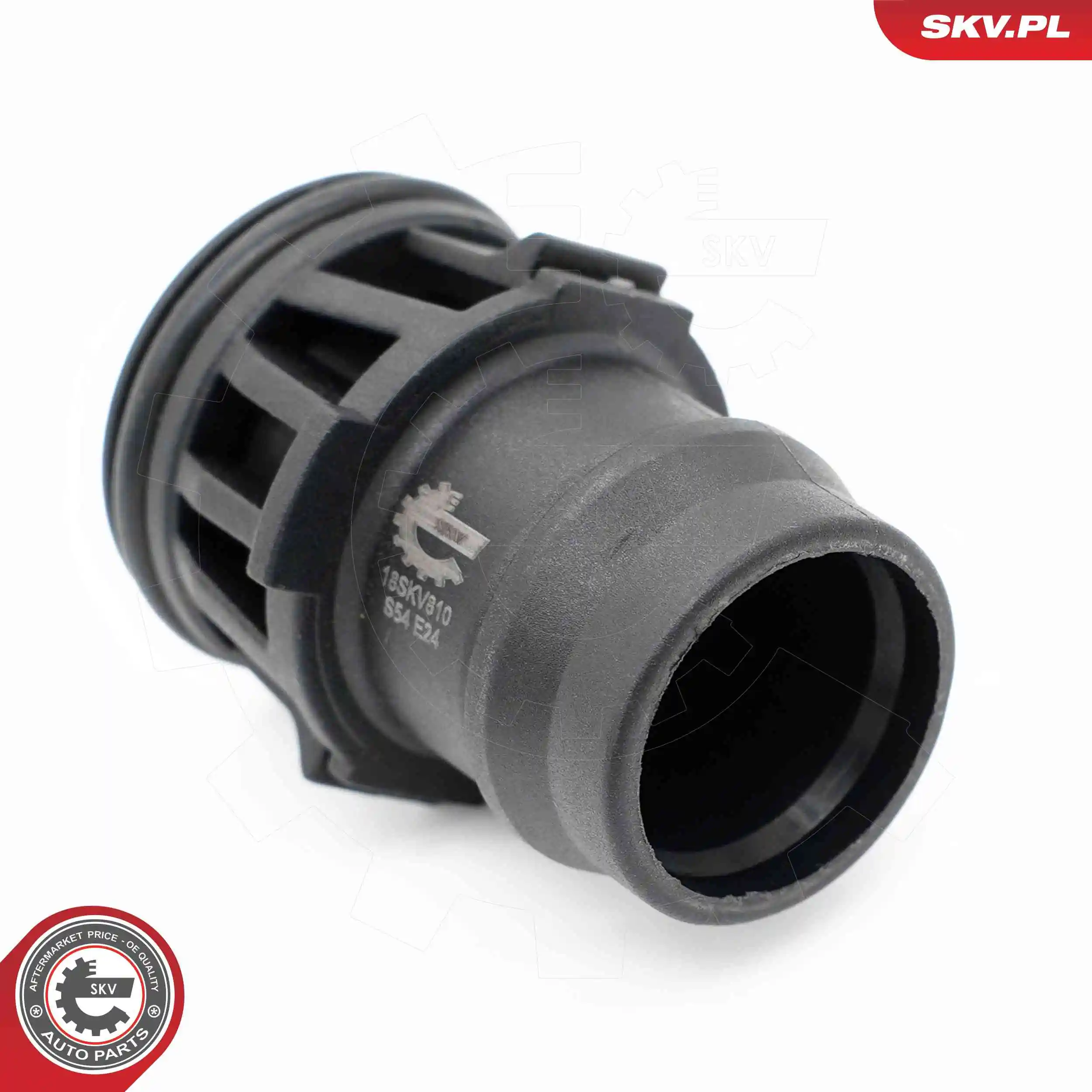ESEN SKV 18SKV810 Repair Set, vacuum pump (braking system)