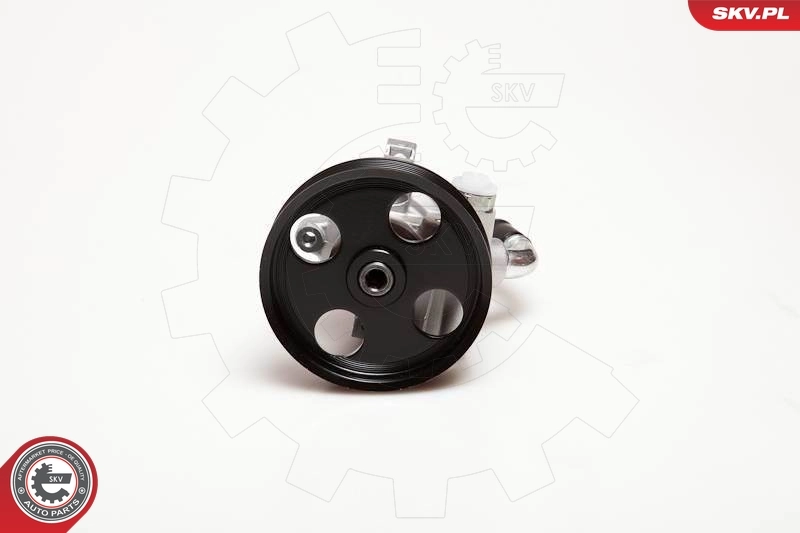 Hydraulic Pump, steering 10SKV025