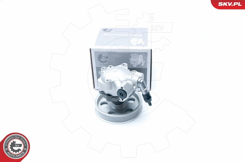 Hydraulic Pump, steering 10SKV185