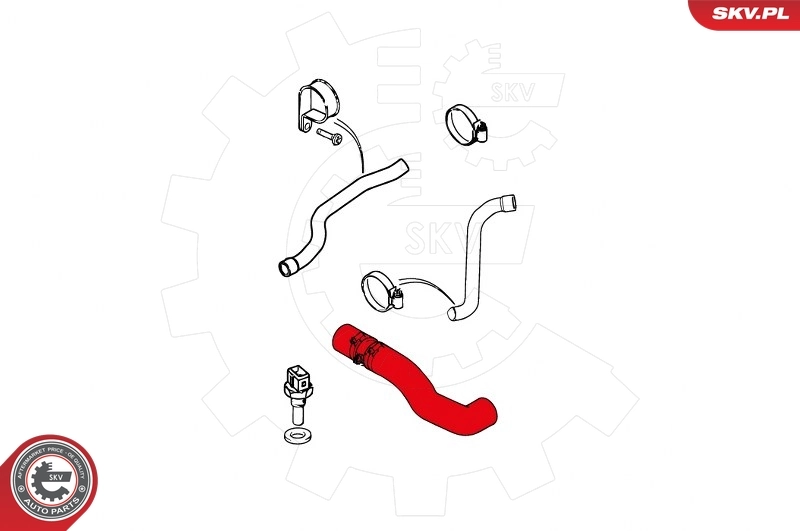Charge Air Hose 24SKV882