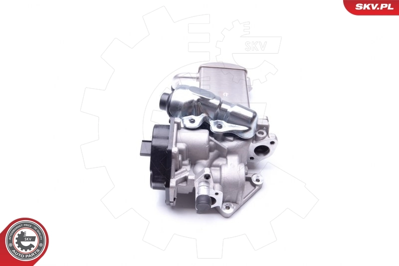 EGR Valve 14SKV152