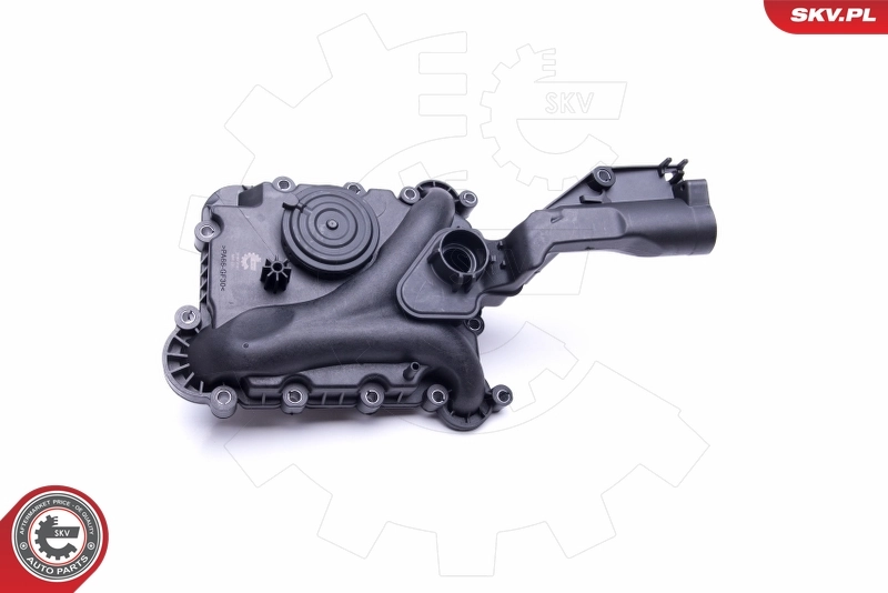 Valve, crankcase ventilation 31SKV160