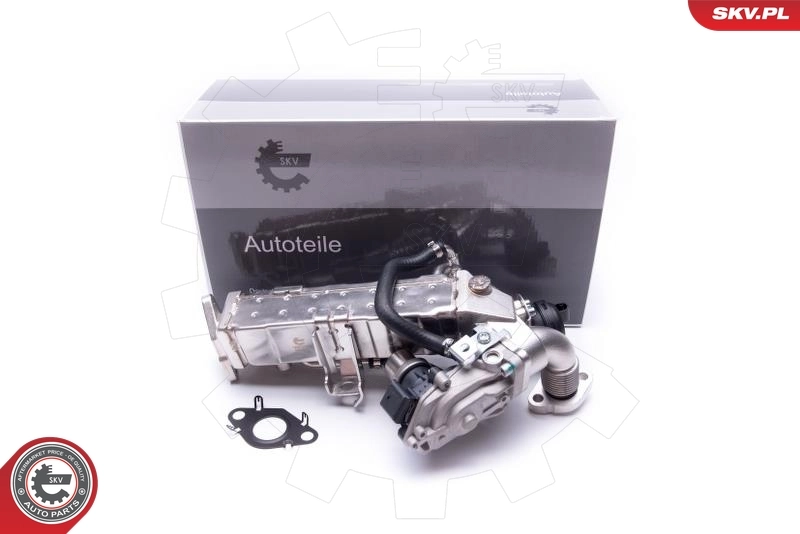 EGR Valve 14SKV235