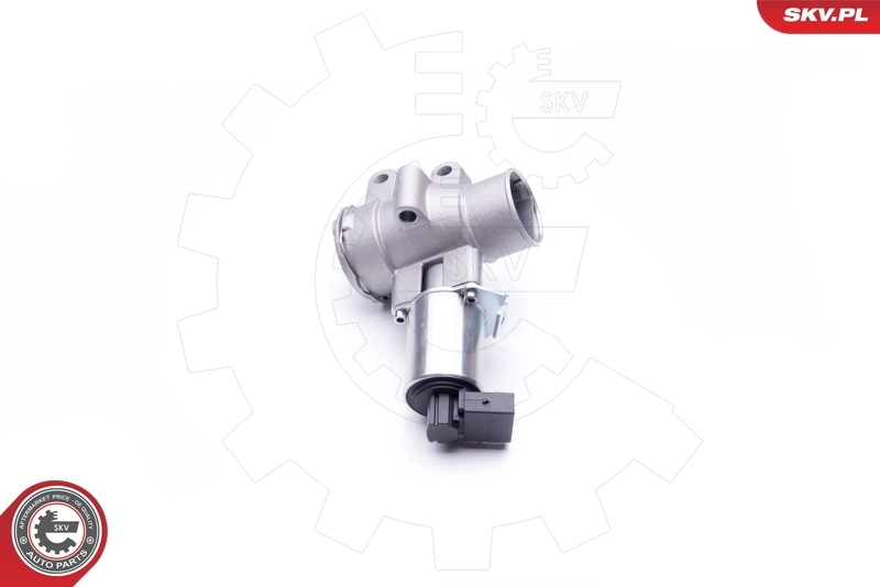 EGR Valve 14SKV186