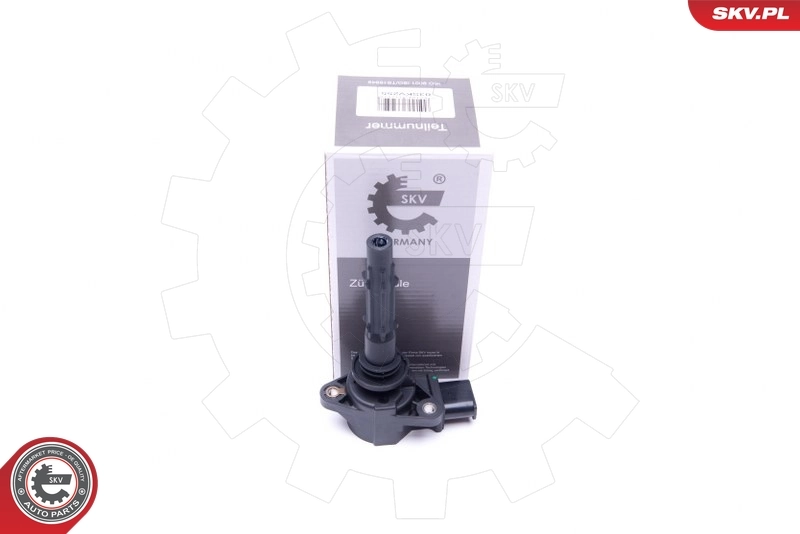 Ignition Coil 03SKV255
