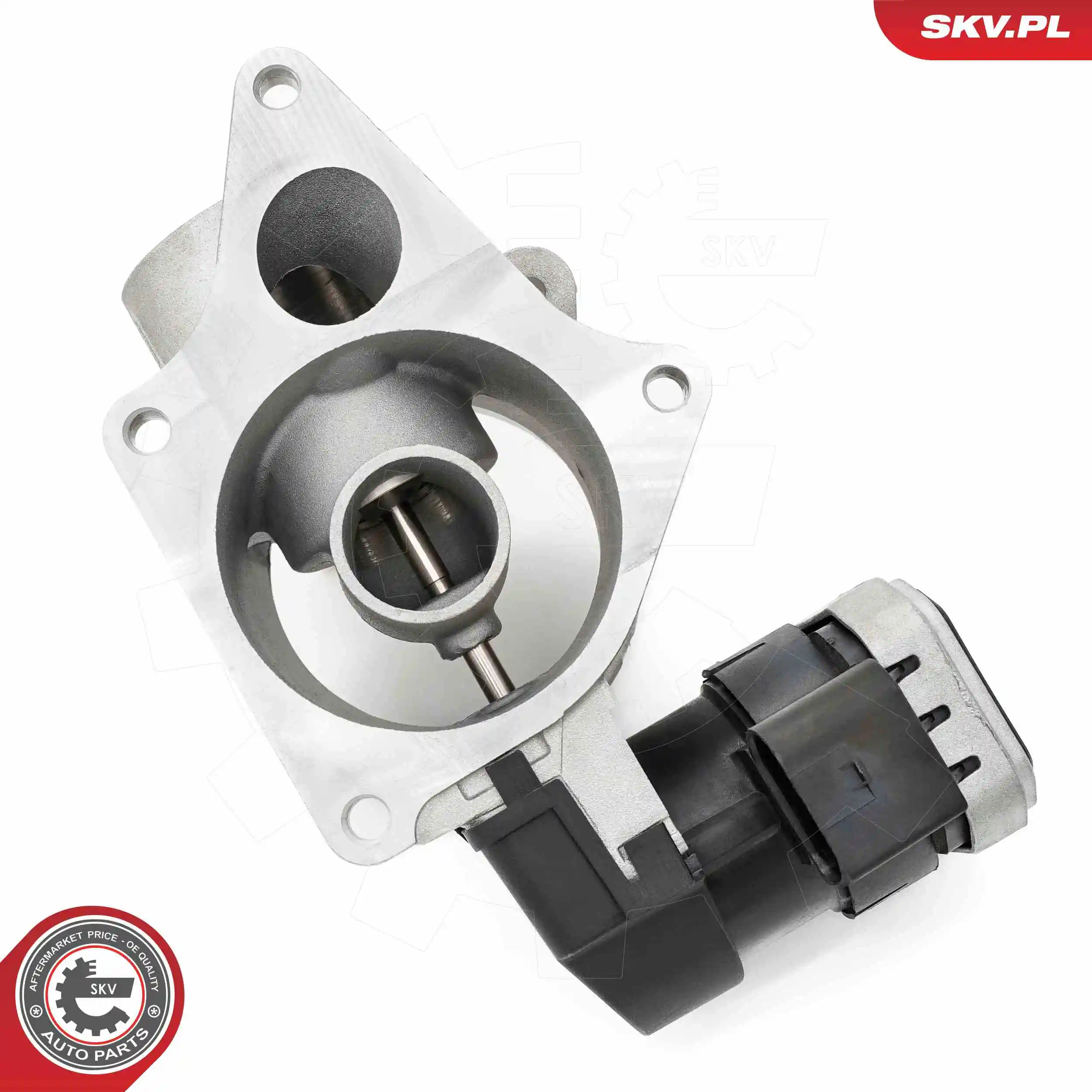 ESEN SKV 14SKV279 EGR Valve
