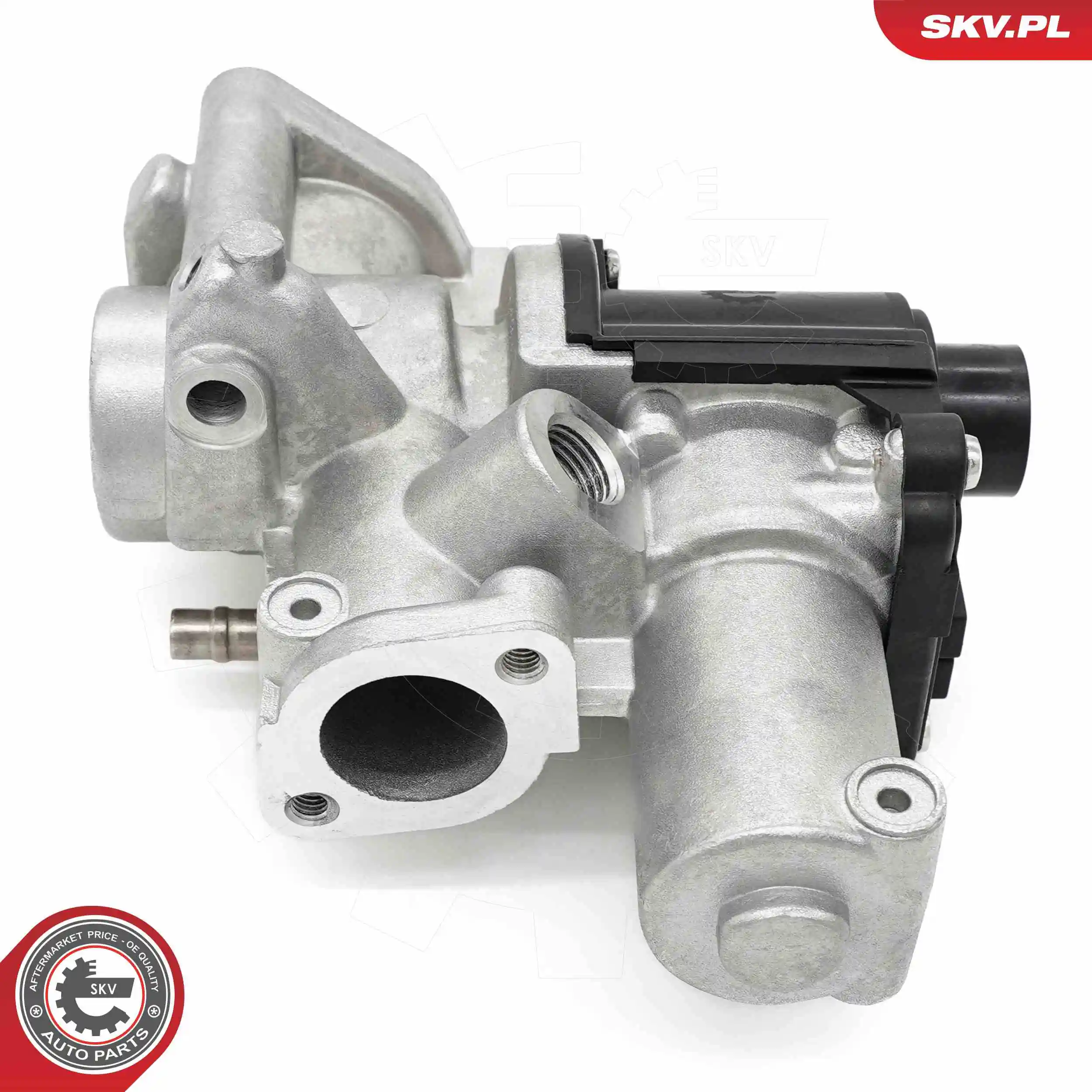 EGR Valve 14SKV253