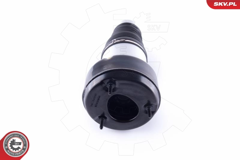 Air Spring, suspension 58SKV038