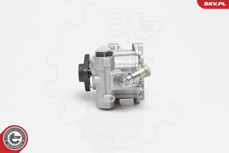 Hydraulic Pump, steering 10SKV014