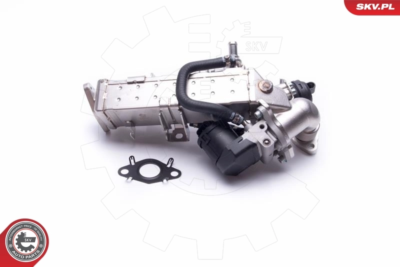 EGR Valve 14SKV234