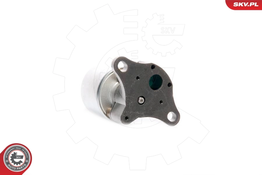 EGR Valve 14SKV035