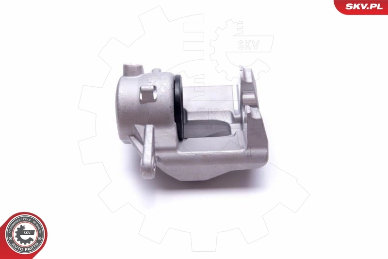 Brake Caliper 46SKV791