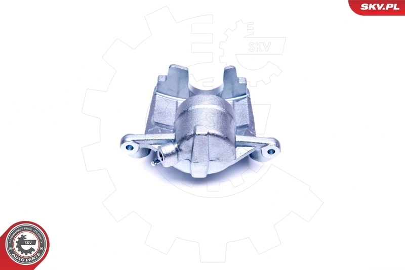 Brake Caliper 44SKV012