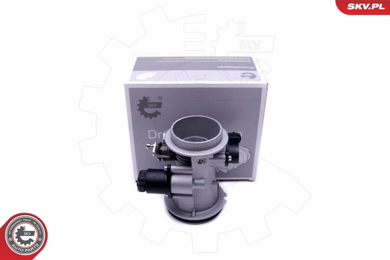 Throttle Body 12SKV101