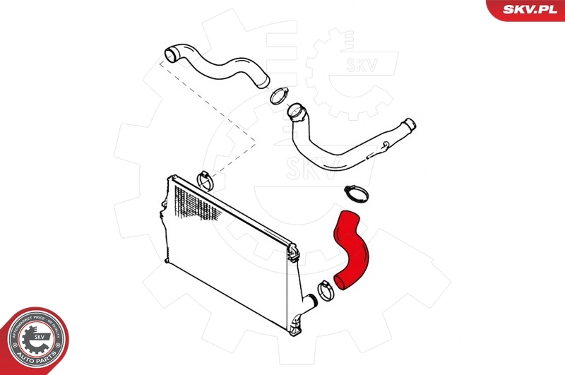 Charge Air Hose 24SKV808