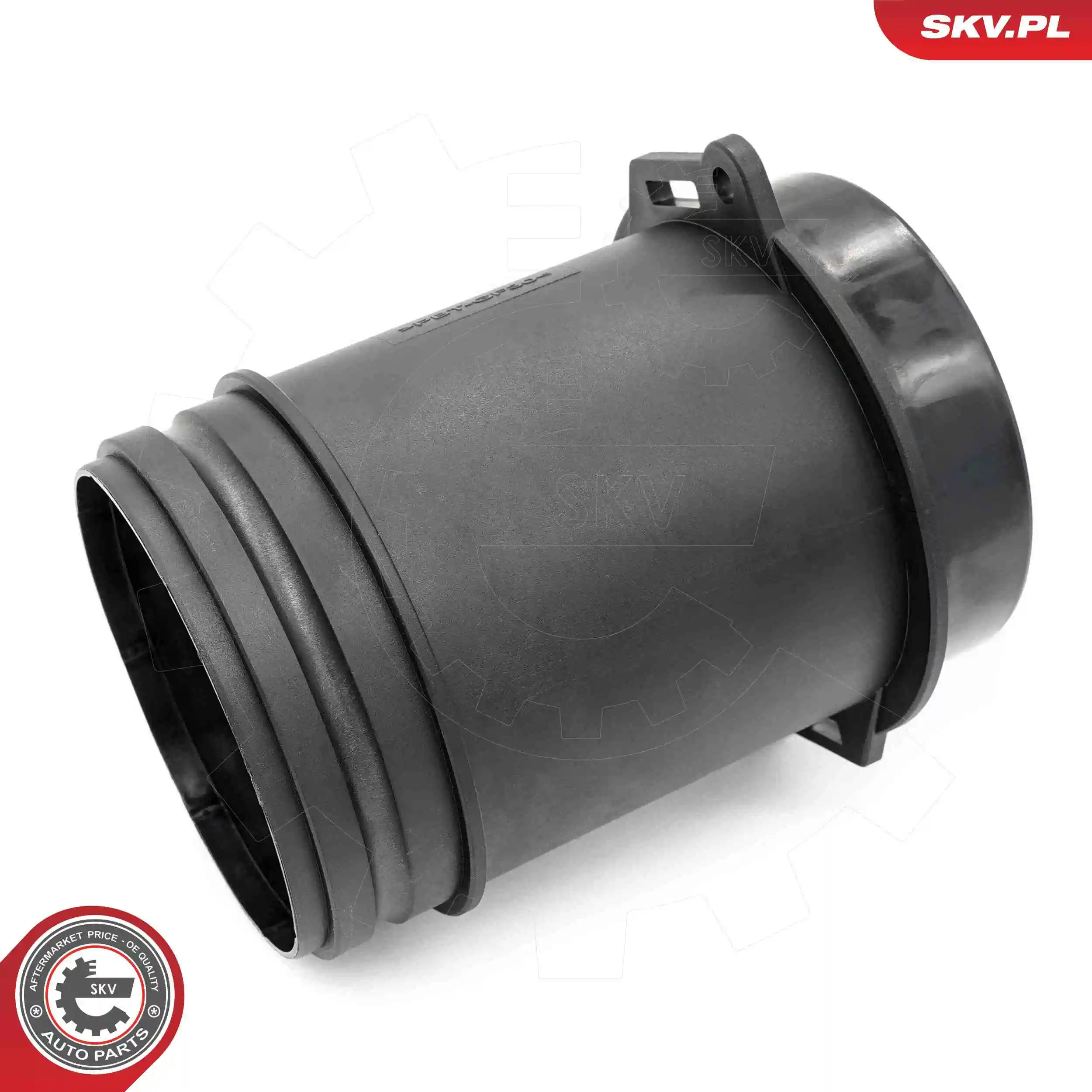 Mass Air Flow Sensor 07SKV209