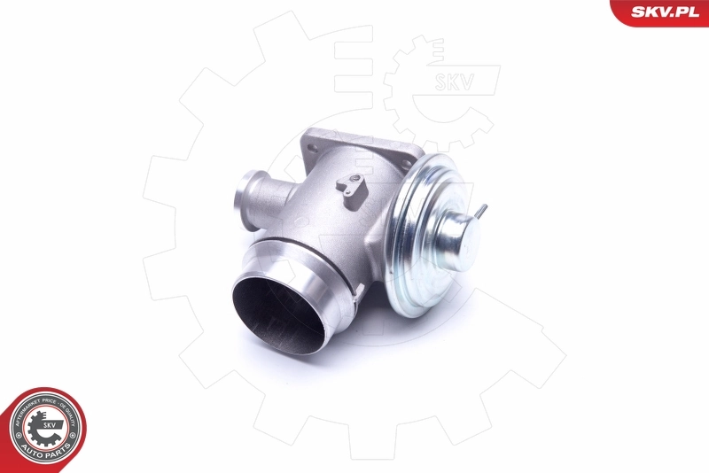 EGR Valve 14SKV176