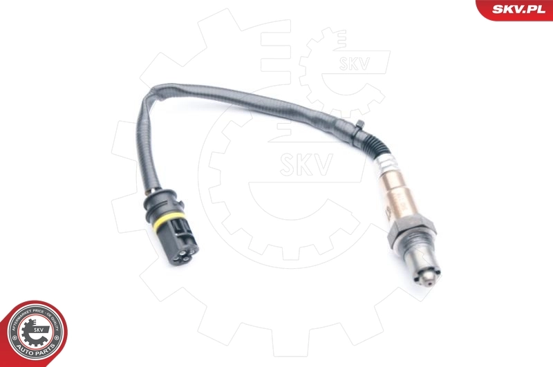Oxygen Sensor 09SKV619