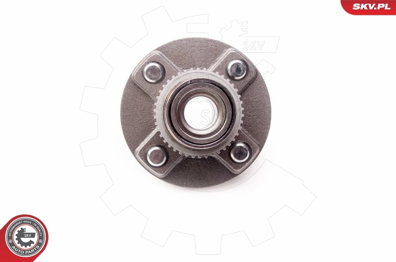 Wheel Bearing Kit 29SKV170