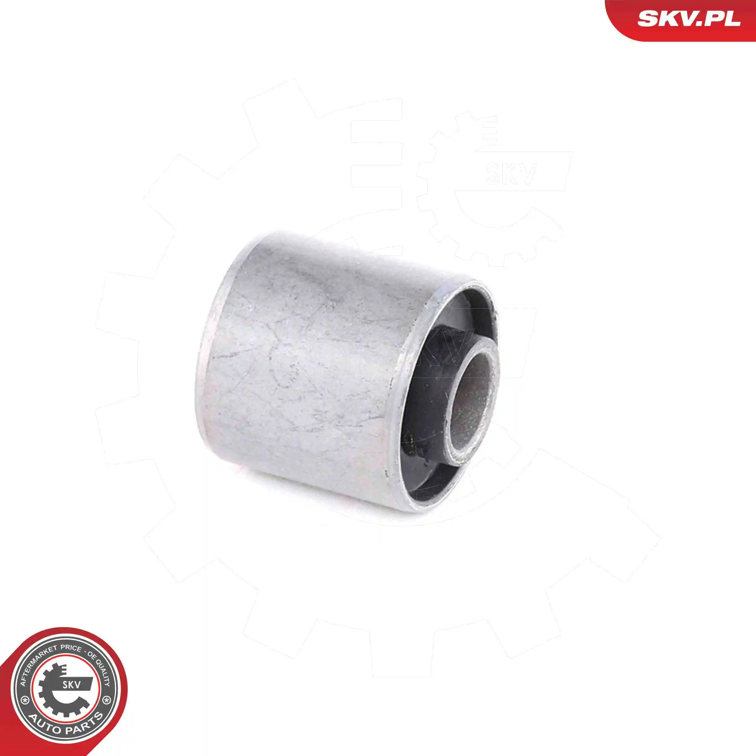 Mounting, engine 75SKV341