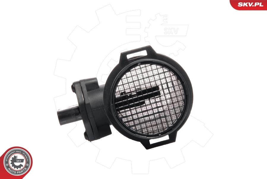 Mass Air Flow Sensor 07SKV012