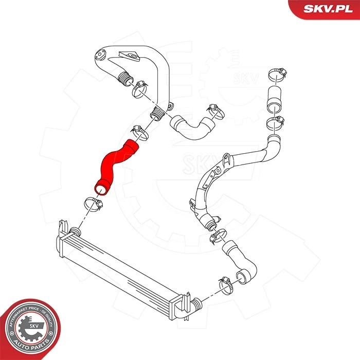 Charge Air Hose 43SKV449