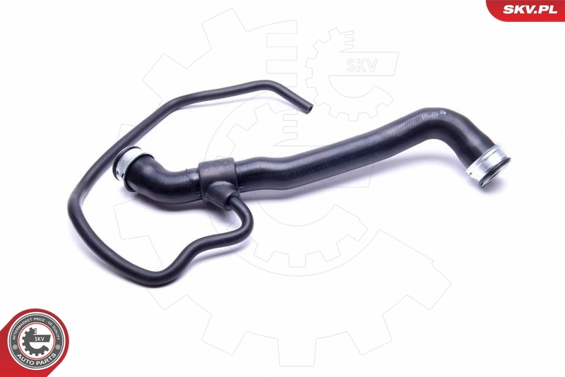 Radiator Hose 43SKV659