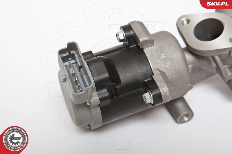 EGR Valve 14SKV073